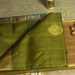 SBS082503-01 Light Green Pure Silk Handloom Saree